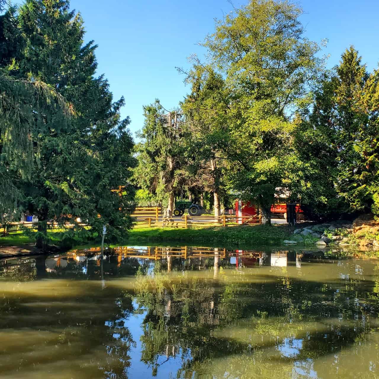 Beautiful entrance to the Richmond Sunflower Festival - This pond with reflections was a lovely transition from parking lot to the fields beyond. Music with a country vibe was playing as we walked to find the miniature train. 
