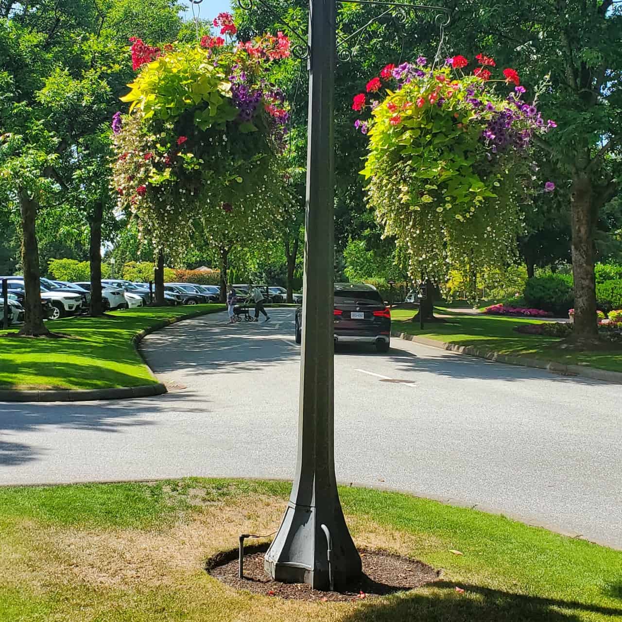 Hanging baskets outside Northview Golf Course - The hanging baskets are a welcoming feature when heading to Duffey's Sports Grill in Surrey BC.