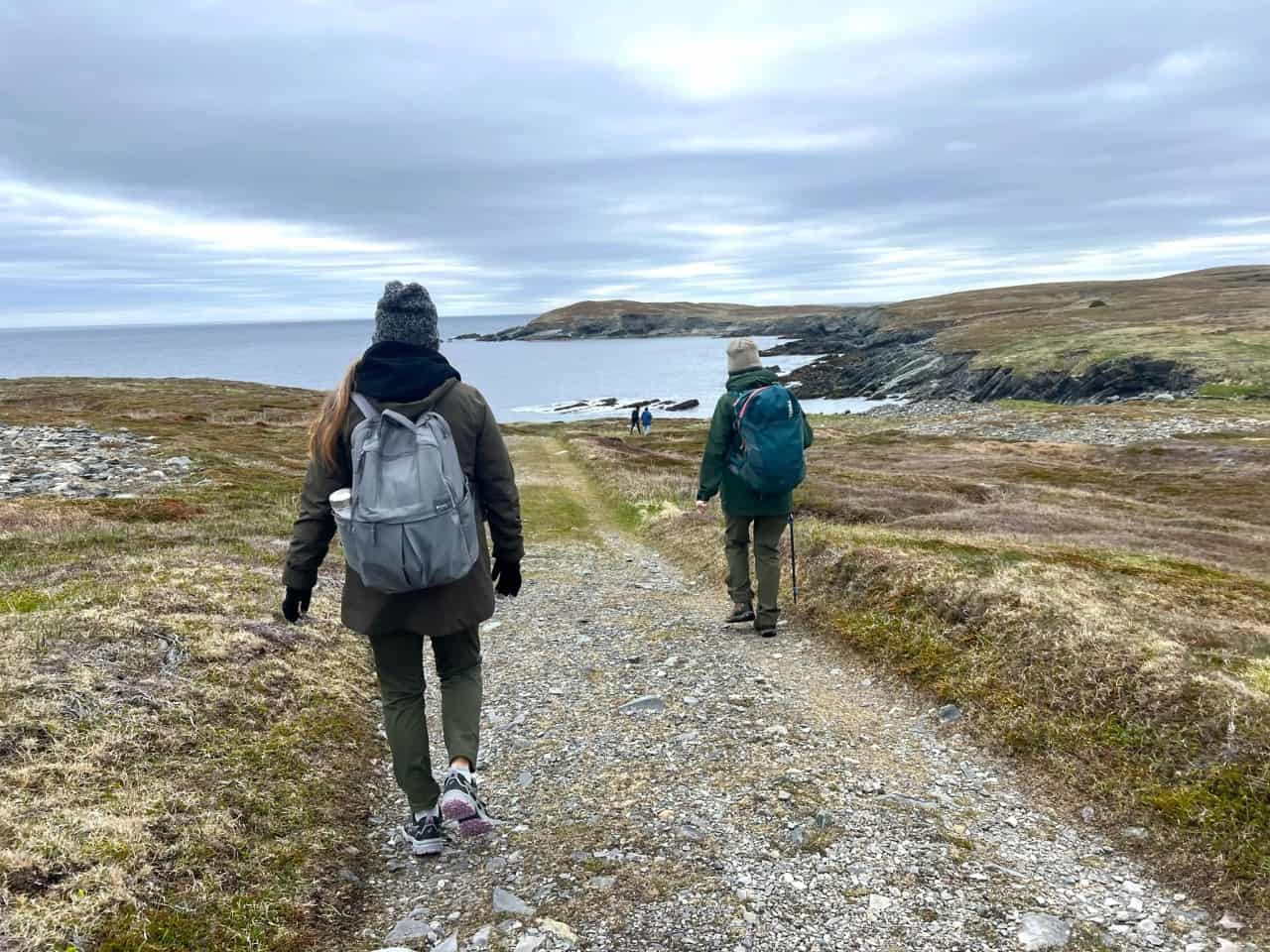 Tour, Mistaken Point Ecological Reserve - The hike has a slow and steady pace with lots of time to enjoy the breathtaking views along the southern tip of Newfoundland. 