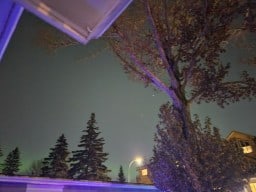 Northern Lights Starting in Calgary Alberta Canada 
