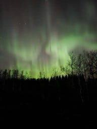 Northern Lights November in Canada