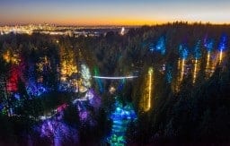 Capalano Canyon Of Lights 2023 - North Vancouver Brtish Columbia.jpg